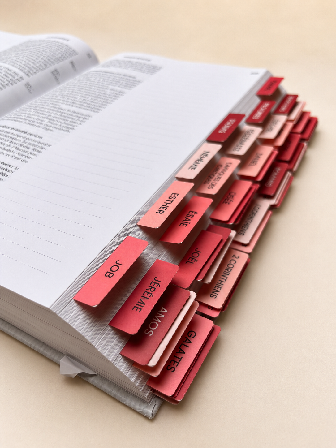 Onglets Bibliques Rose Poudré | 77 Onglets